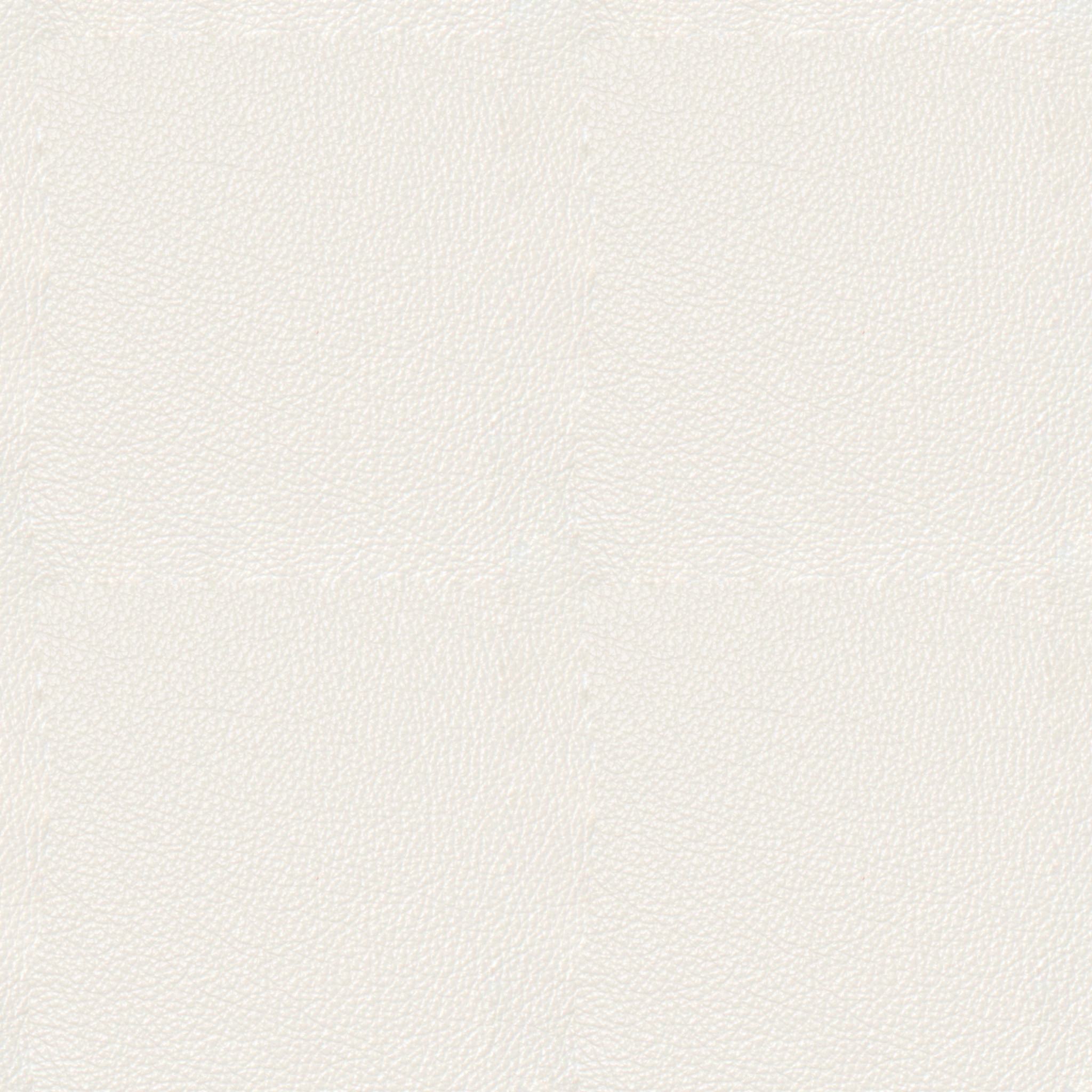COPOLA-31