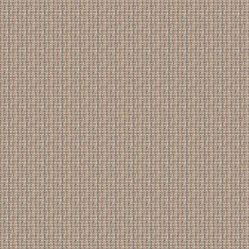 Clove-08 swatch