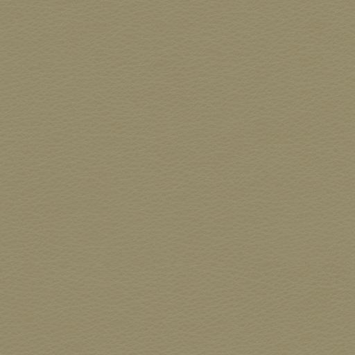 Copola-10