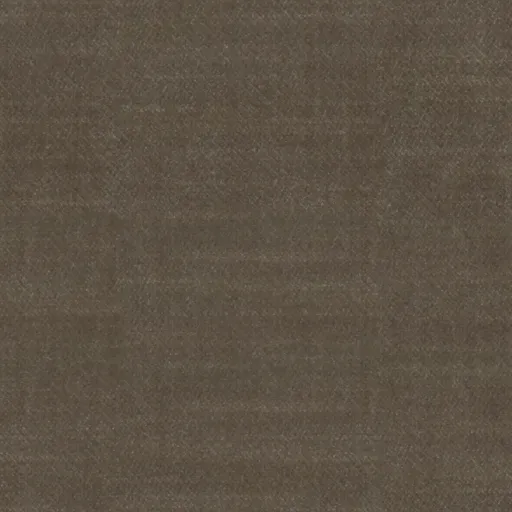 PORCINI-07