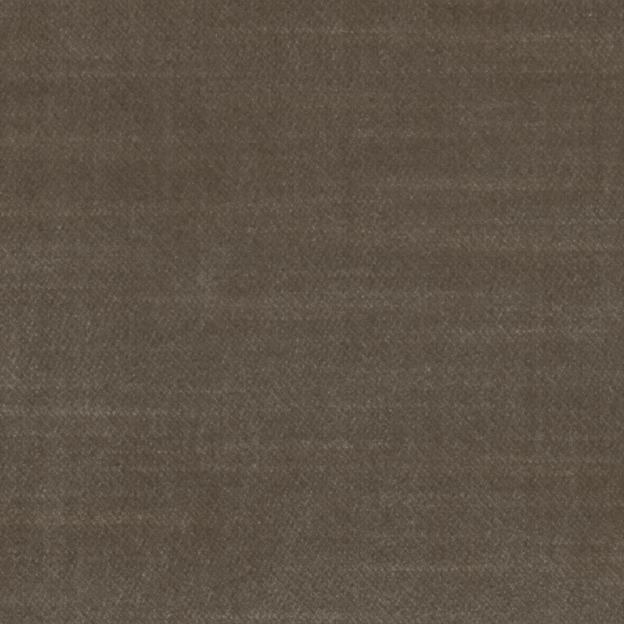 PORCINI-07