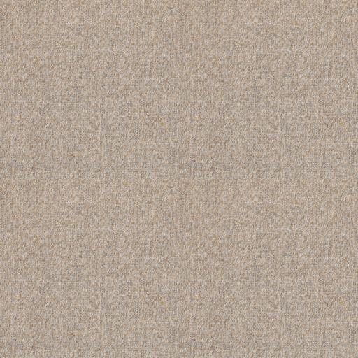 SHELDON-10.jpg