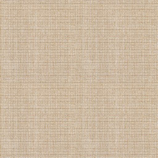 SPARROW-10.jpg