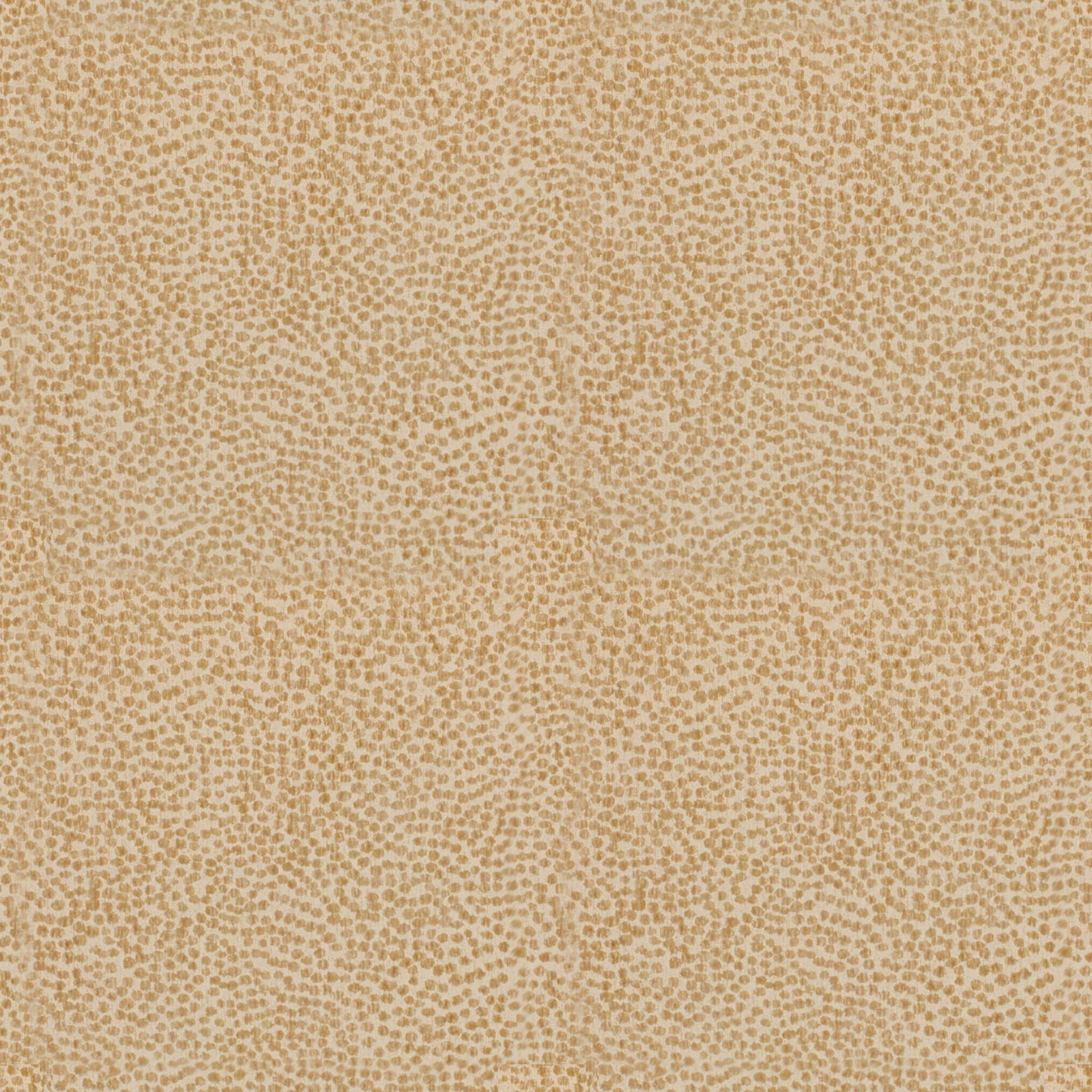 SPOT DOT-03.jpg