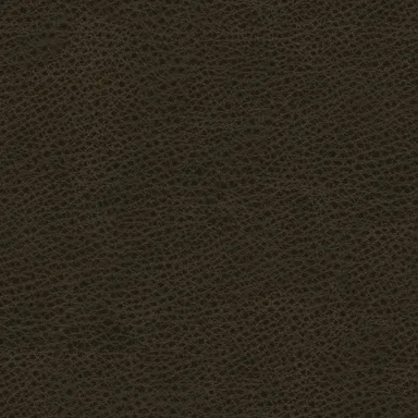 Sylvia-41 swatch
