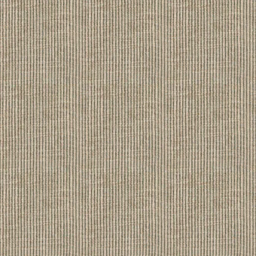 Tailored-16 swatch