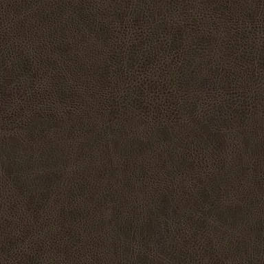 Winslow-06 swatch