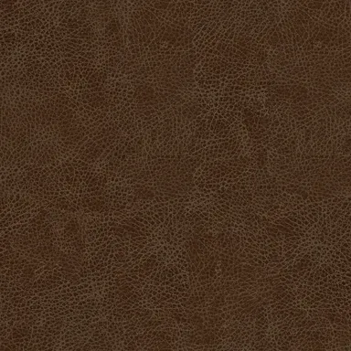 Winslow-07 swatch