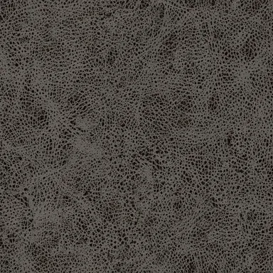 Winslow-41 swatch