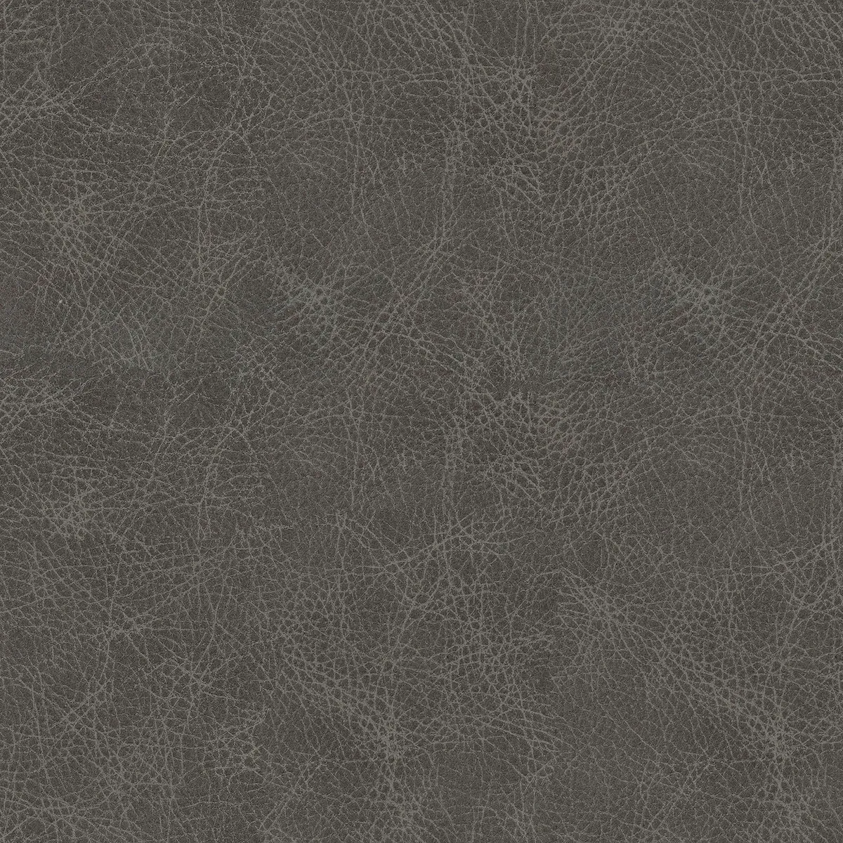 Winslow-42 leather swatch