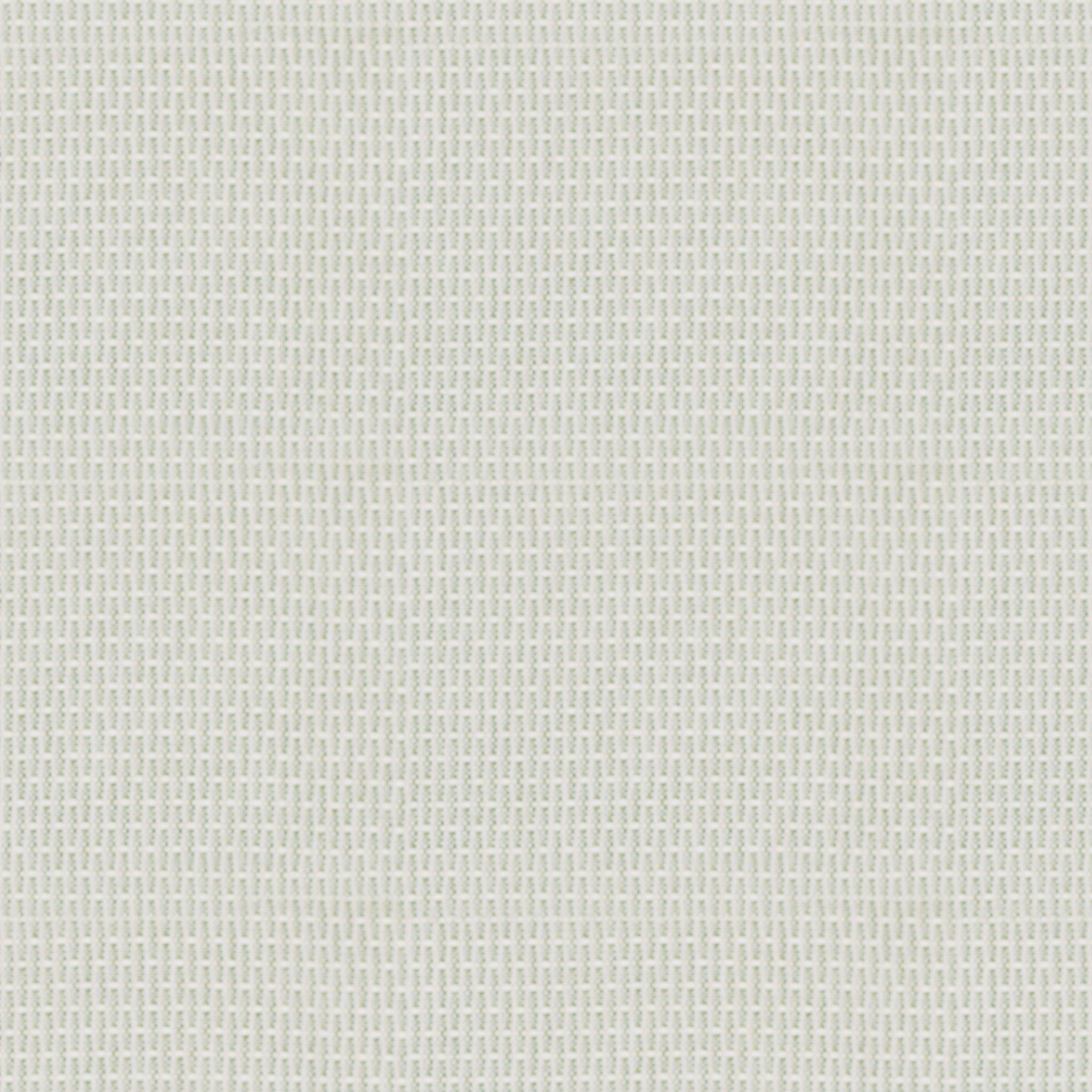 Biscoe-16